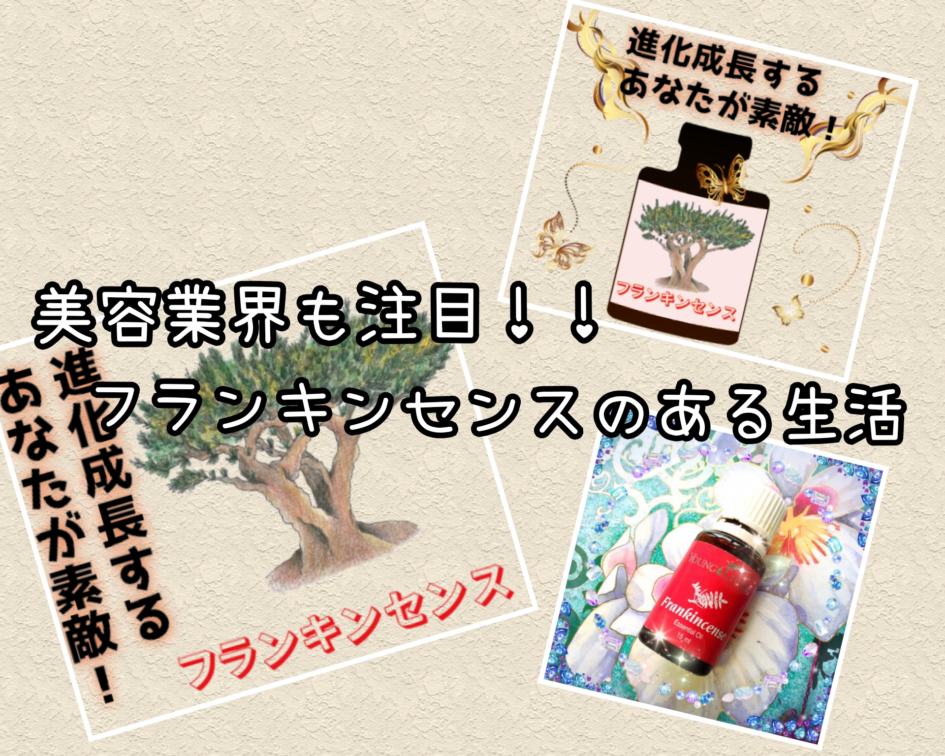 美容業界も注目✨フランキンセンスのある生活の魅力🌹